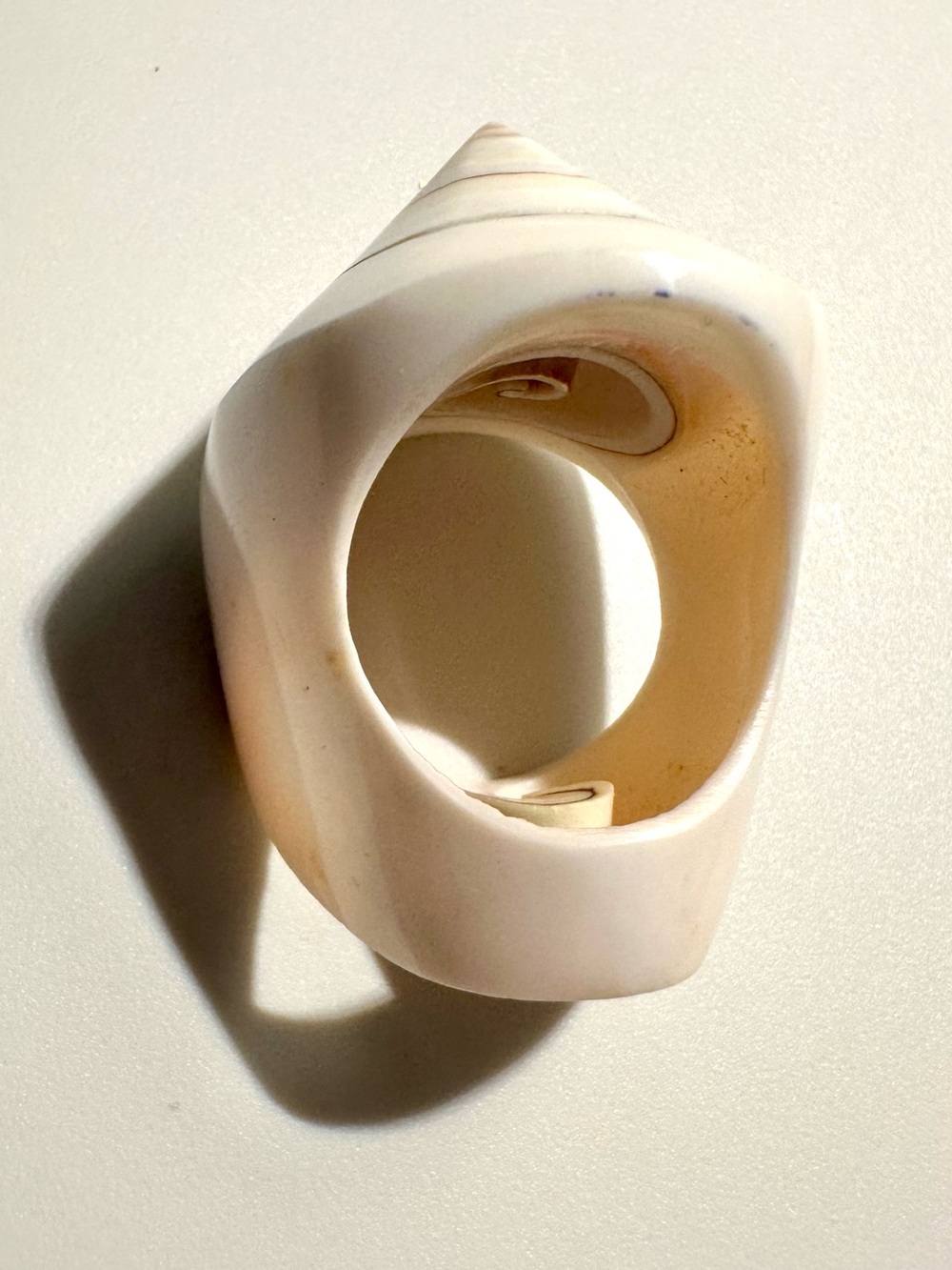 Shell Ring ๐ Approx Size 6 - Picture 4 of 6